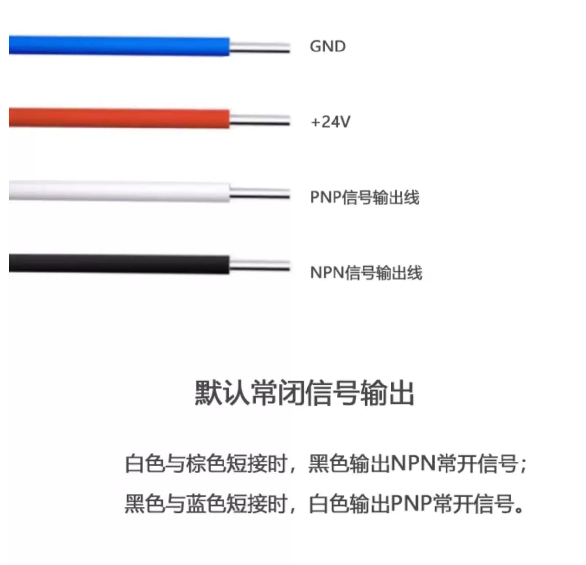 DD 实拍图 6