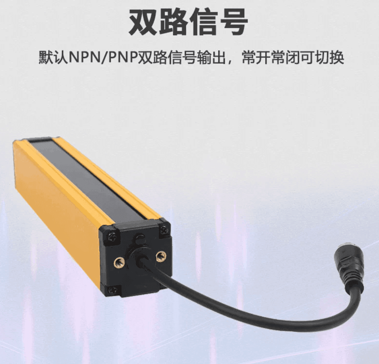 DD 实拍图 11