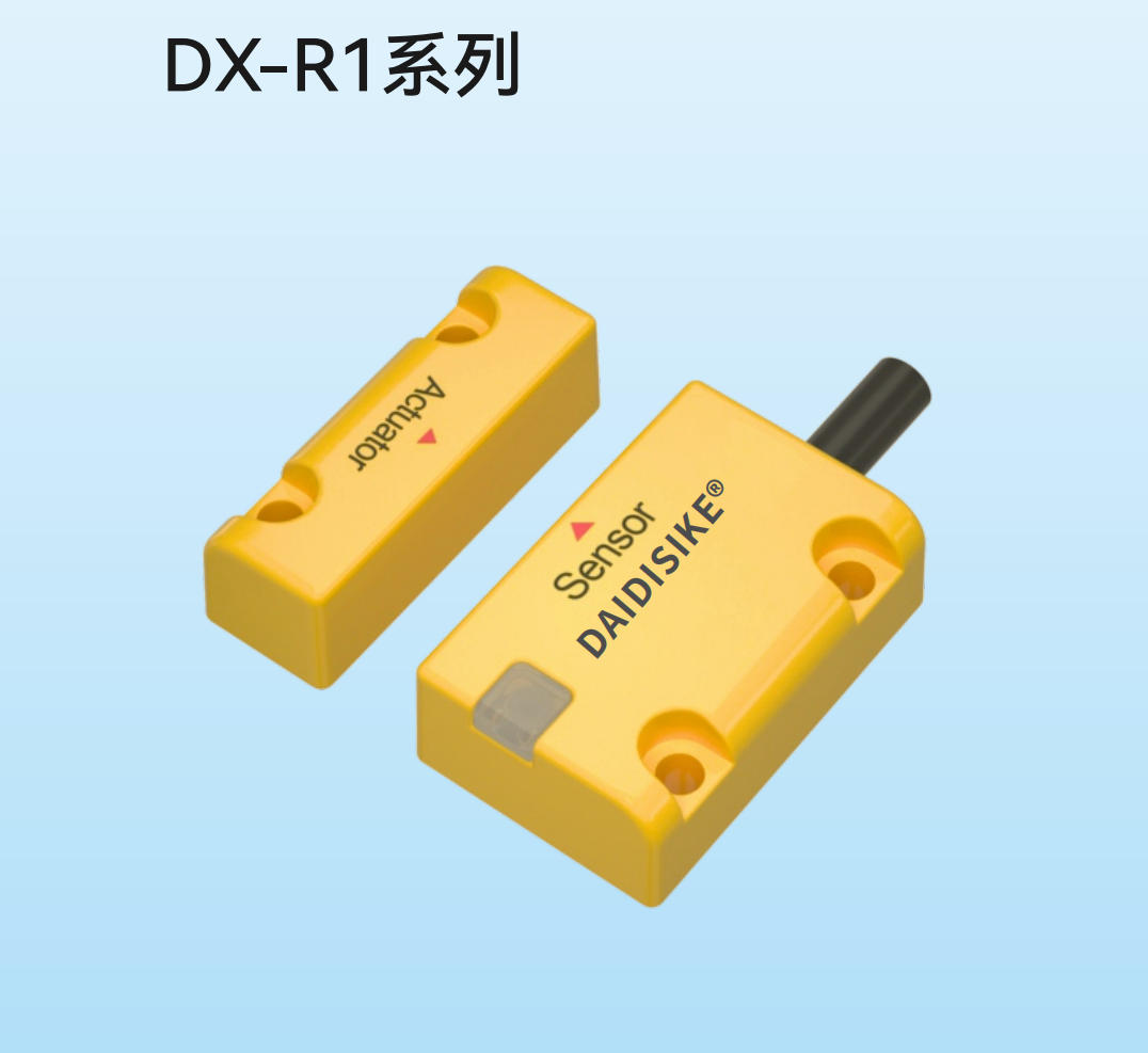 DX-R1 实拍图 3
