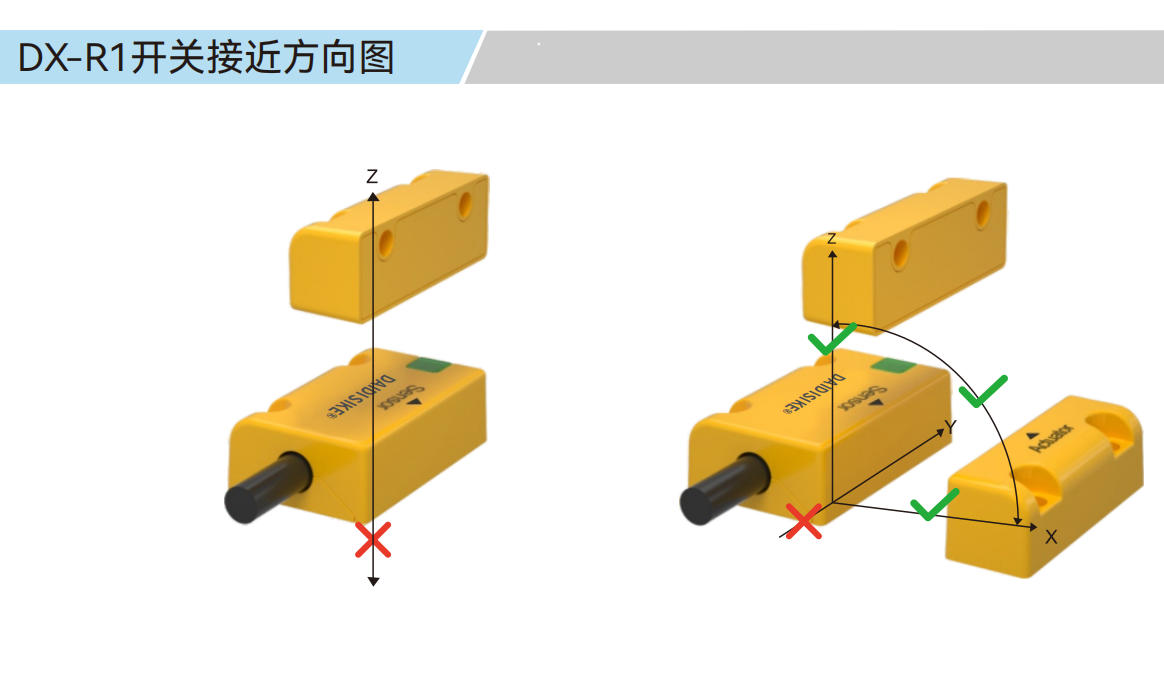 DX-R1 实拍图 4